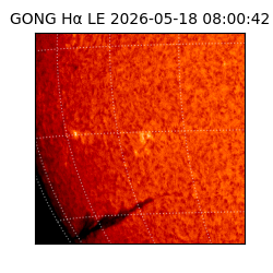 gong - 2026-05-18T08:00:42