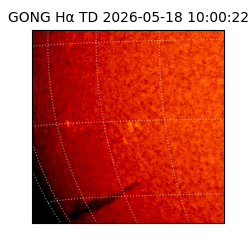 gong - 2026-05-18T10:00:22