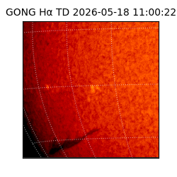 gong - 2026-05-18T11:00:22