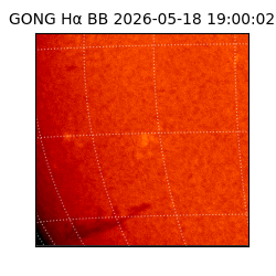 gong - 2026-05-18T19:00:02