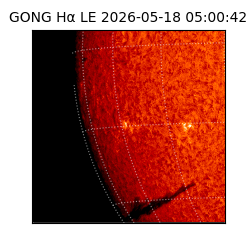 gong - 2026-05-18T05:00:42