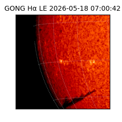 gong - 2026-05-18T07:00:42