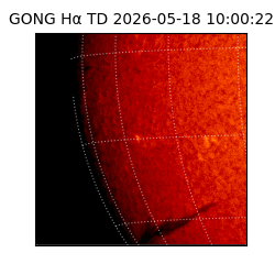 gong - 2026-05-18T10:00:22