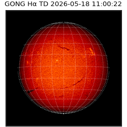 gong - 2026-05-18T11:00:22
