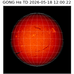 gong - 2026-05-18T12:00:22