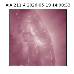 saia - 2026-05-19T14:00:33.629000
