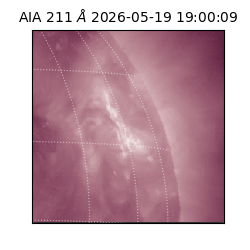 saia - 2026-05-19T19:00:09.624000