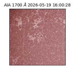 saia - 2026-05-19T16:00:28.723000