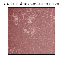 saia - 2026-05-19T19:00:28.716000