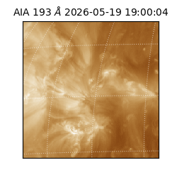 saia - 2026-05-19T19:00:04.842000
