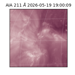 saia - 2026-05-19T19:00:09.624000