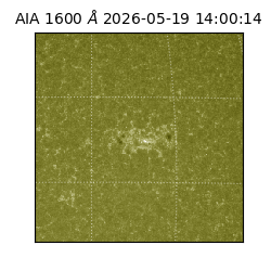 saia - 2026-05-19T14:00:14.123000