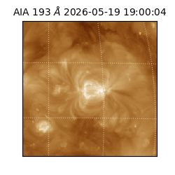 saia - 2026-05-19T19:00:04.842000