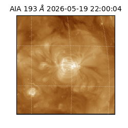 saia - 2026-05-19T22:00:04.842000