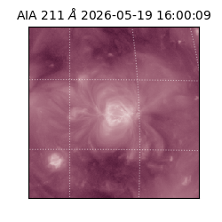 saia - 2026-05-19T16:00:09.621000