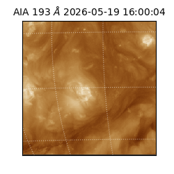 saia - 2026-05-19T16:00:04.842000
