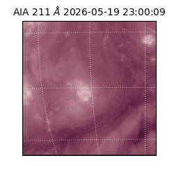 saia - 2026-05-19T23:00:09.624000