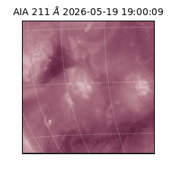 saia - 2026-05-19T19:00:09.624000