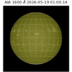 saia - 2026-05-19T01:00:14.123000