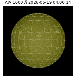 saia - 2026-05-19T04:00:14.128000