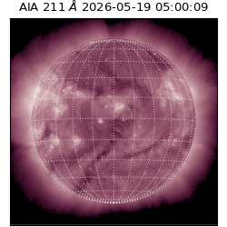 saia - 2026-05-19T05:00:09.623000