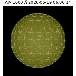 saia - 2026-05-19T06:00:14.131000