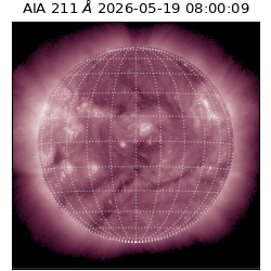 saia - 2026-05-19T08:00:09.623000