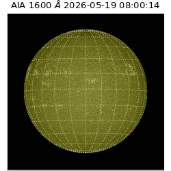 saia - 2026-05-19T08:00:14.123000