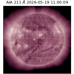 saia - 2026-05-19T11:00:09.621000