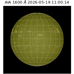 saia - 2026-05-19T11:00:14.123000