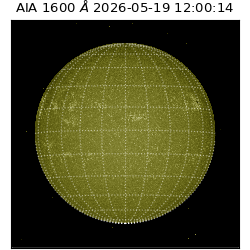 saia - 2026-05-19T12:00:14.123000