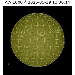 saia - 2026-05-19T13:00:14.129000