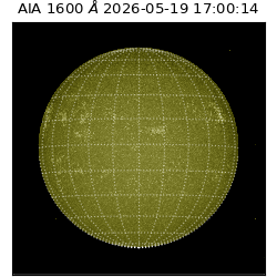 saia - 2026-05-19T17:00:14.123000