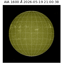 saia - 2026-05-19T21:00:38.123000