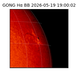 gong - 2026-05-19T19:00:02