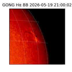 gong - 2026-05-19T21:00:02