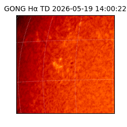 gong - 2026-05-19T14:00:22