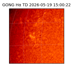 gong - 2026-05-19T15:00:22