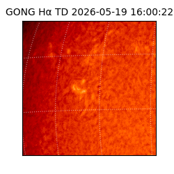 gong - 2026-05-19T16:00:22