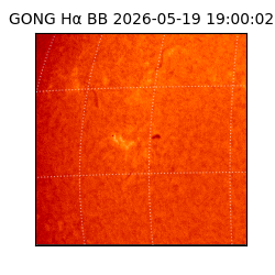 gong - 2026-05-19T19:00:02