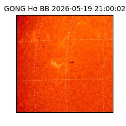 gong - 2026-05-19T21:00:02