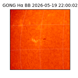 gong - 2026-05-19T22:00:02