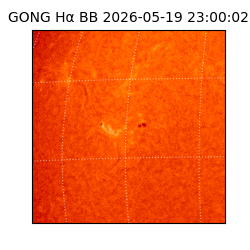 gong - 2026-05-19T23:00:02
