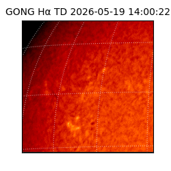 gong - 2026-05-19T14:00:22