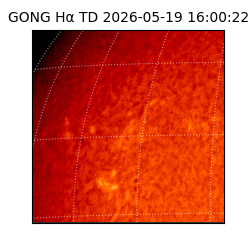 gong - 2026-05-19T16:00:22