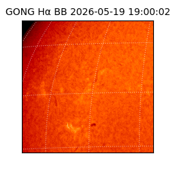 gong - 2026-05-19T19:00:02