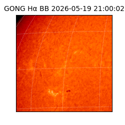 gong - 2026-05-19T21:00:02