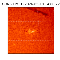 gong - 2026-05-19T14:00:22