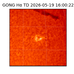 gong - 2026-05-19T16:00:22