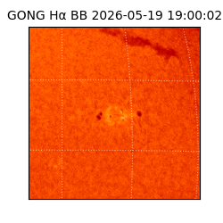 gong - 2026-05-19T19:00:02